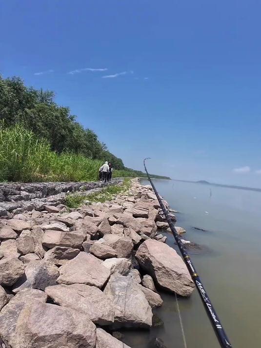 各位钓友千万不要以身试法，不要在禁钓区钓鱼，以此为戒