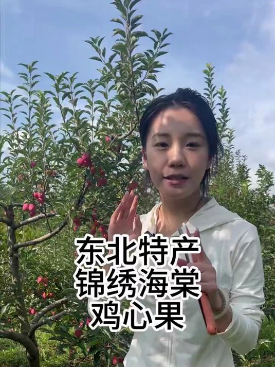 鸡心果,香妃海棠果,酸甜可口脆 鸡心果 自家果园