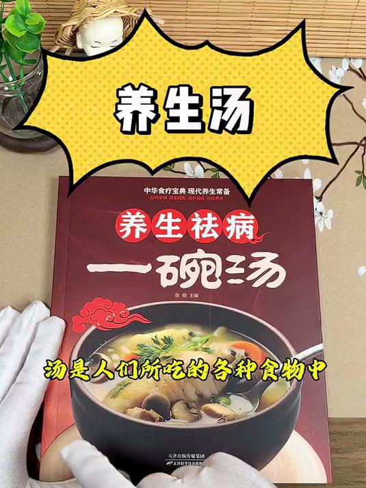 养生祛病一碗汤 煲汤大全四季健康养生汤营养汤做汤食谱