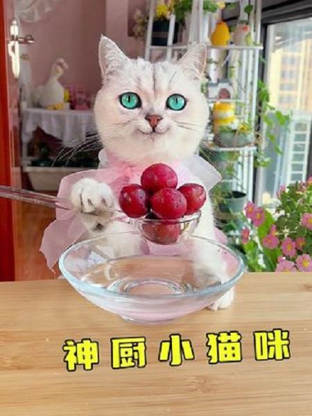 炸鸡奶茶杯:一口奶茶一口炸鸡,太快乐啦!