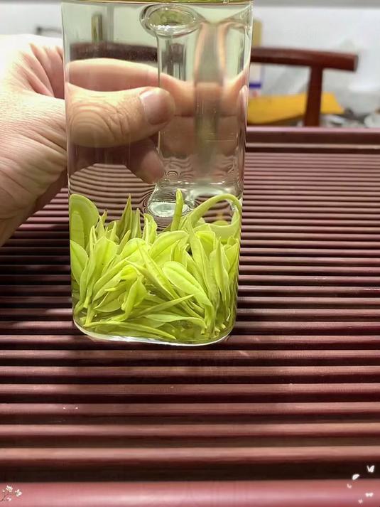 细品安吉白茶，感受氨基酸在舌尖跳舞的鲜