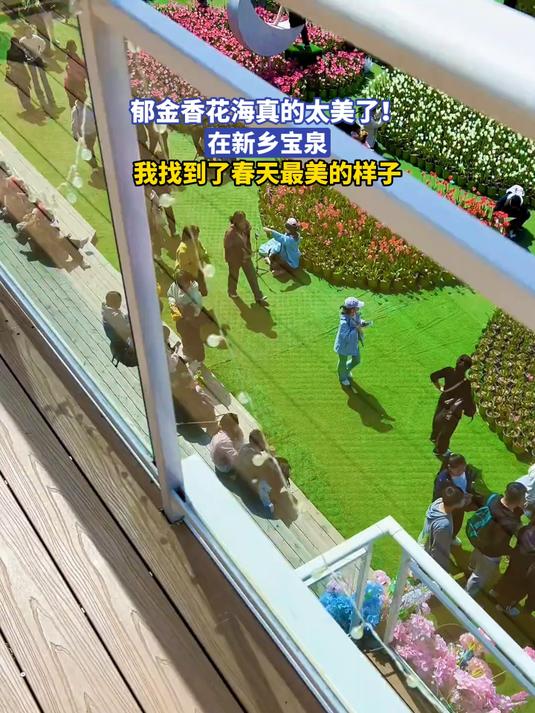 郁金香花海真的太美了！在新乡宝泉我找到了春天最美的样子#花满春城我代言#