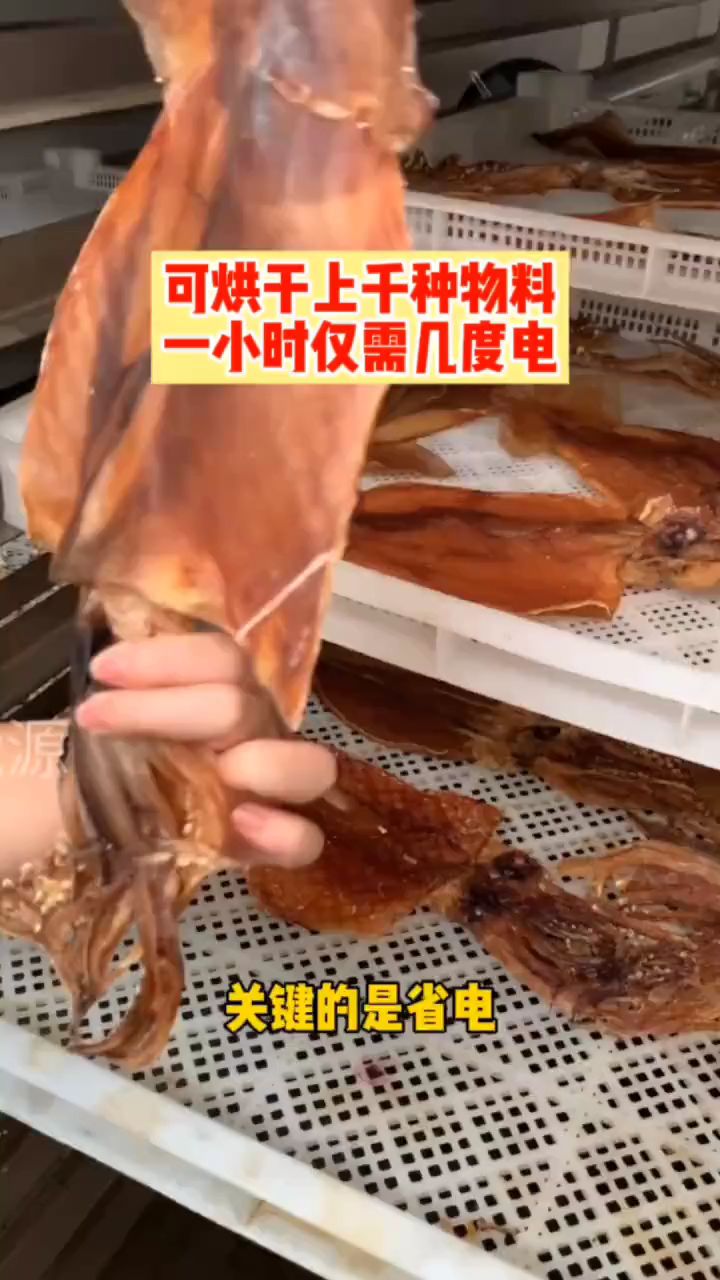 鱿鱼烘干机,海鲜烘干机,鱼干烘干机