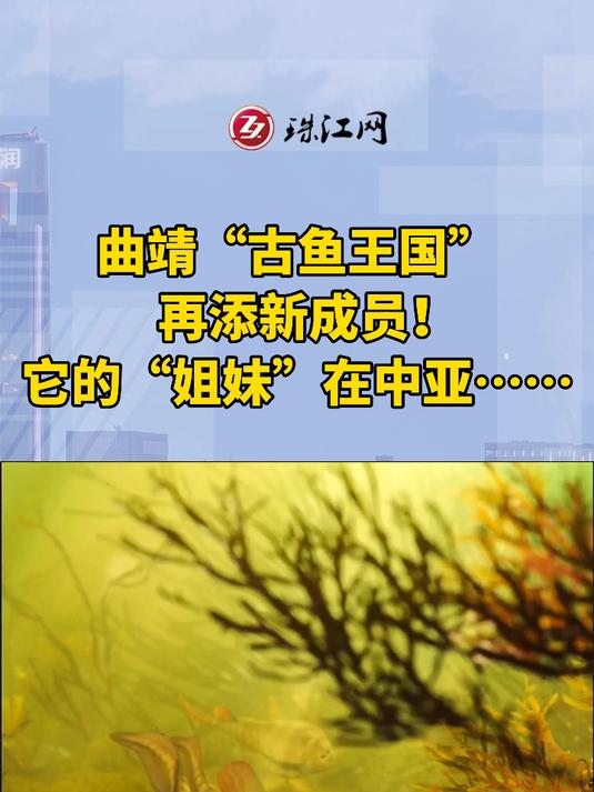 曲靖“古鱼王国”再添新成员!它的“姐妹”在中亚……