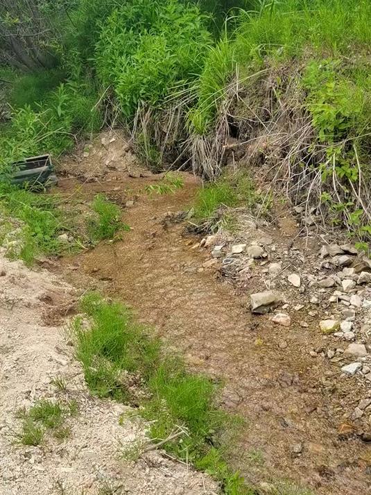 捞点小河鱼 做点小鱼汤,整点小烧烤,小日子好起来了