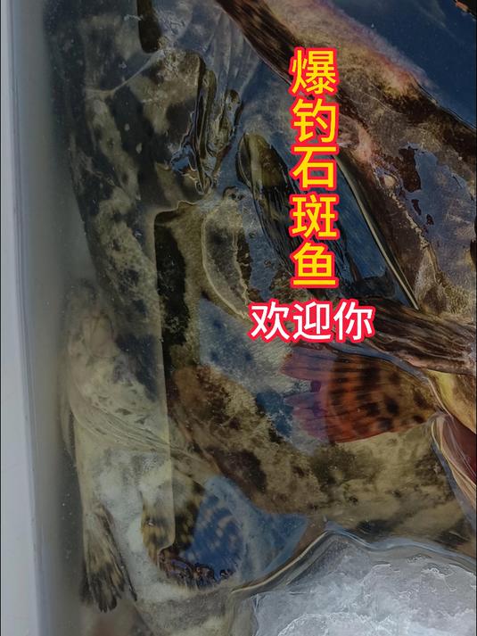 选这样的钓点才能钓石斑鱼