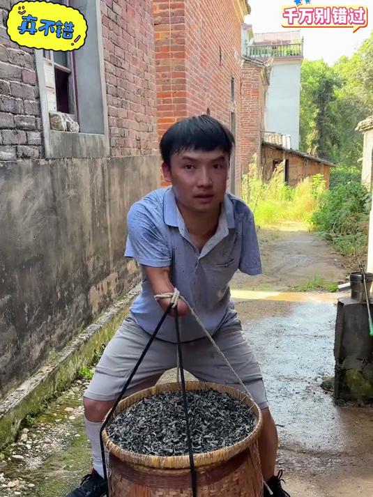 东北的黑木耳!都是无根肉厚小碗状的!可以用来凉拌炒菜涮火锅炖菜等等怎么做都好吃#木耳#