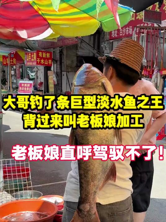 大哥钓了条巨型淡水鱼之王 背过来叫老板娘加工