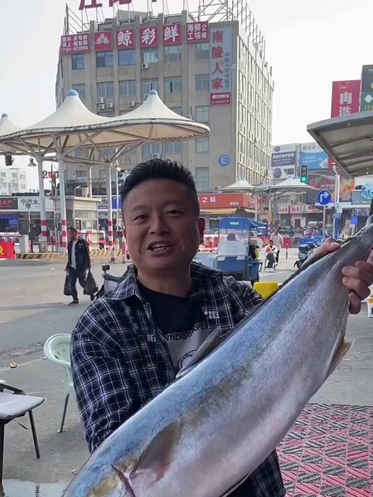 澳洲国王鱼，超大野生黄尾鰤。一半刺身一半盐烤，尝尝味道怎么样