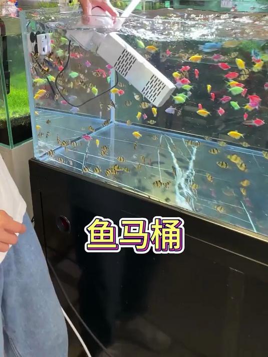 鱼缸内置四合一过滤器,一键帮你吸粪,换水,送氧!新手养鱼必备