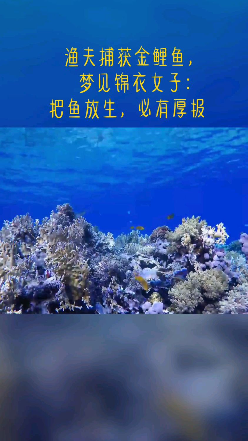渔夫捕获锦鲤鱼,梦见锦衣女子:把鱼放生,必有后报