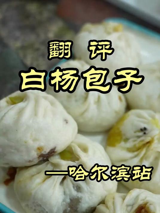 特厨探店|太带劲了!哈尔滨的大肉块包子真香——白杨包子