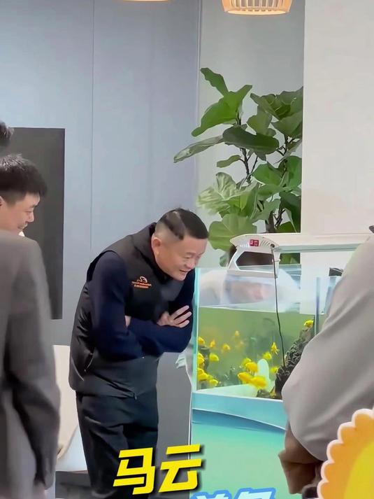 马云也喜欢养鱼,鱼生财,水镇宅,快来养鱼吧