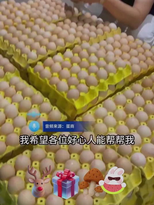 农村自养的土鸡蛋个个跟巨石一样大喜欢的赶紧来吧