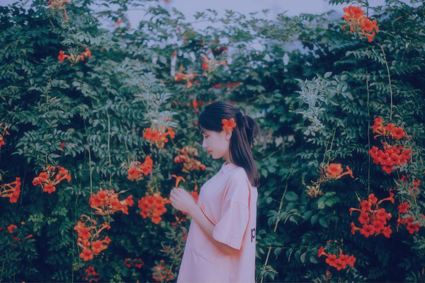 半月花-六色网