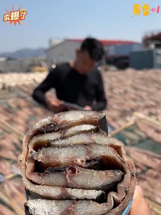 刀鲅鱼干皮薄肉厚没有碎刺吃起来真香