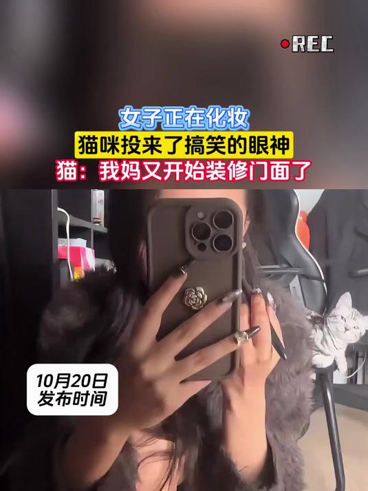 女子正在化妆，猫咪投来了搞笑的眼神，猫：我妈又开始装修门面了