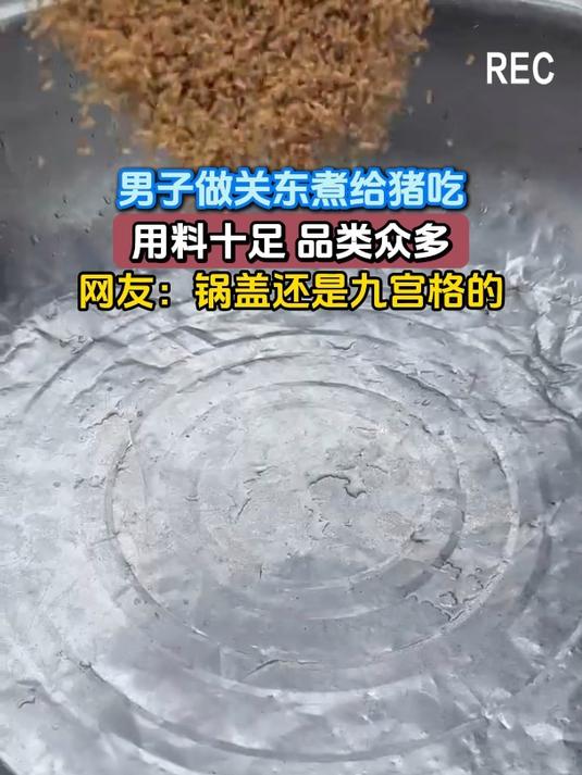 男子做关东煮给猪吃,用料十足 品类众多,网友:锅盖还是九宫格的