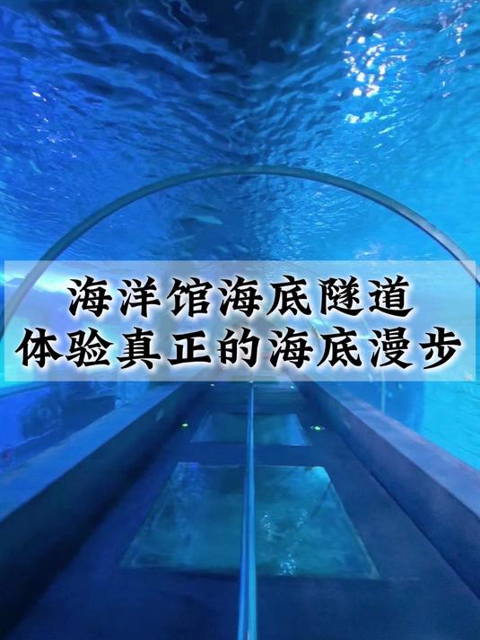 一层亚克力,撑起整片海,海洋馆亚克力海底隧道