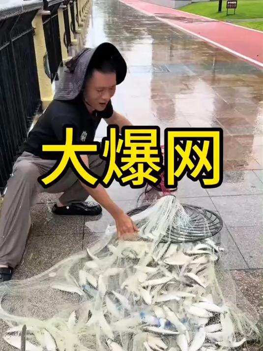 花边齿轮大飞盘渔网,抛撒方便捕力强,户外垂钓渔具必备!