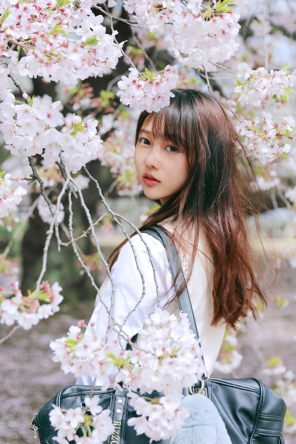 图片[3]-樱花漫-六色网