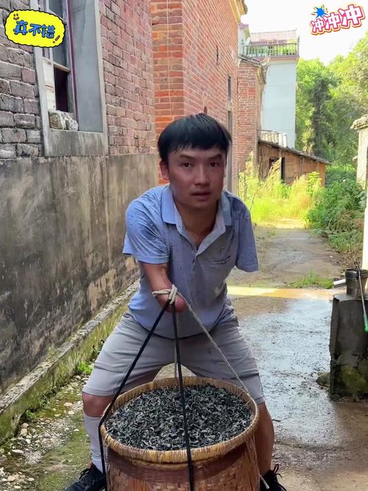 东北的黑木耳！都是无根肉厚小碗状的！可以用来凉拌炒菜涮火锅炖菜等等怎么做都好吃#木耳#