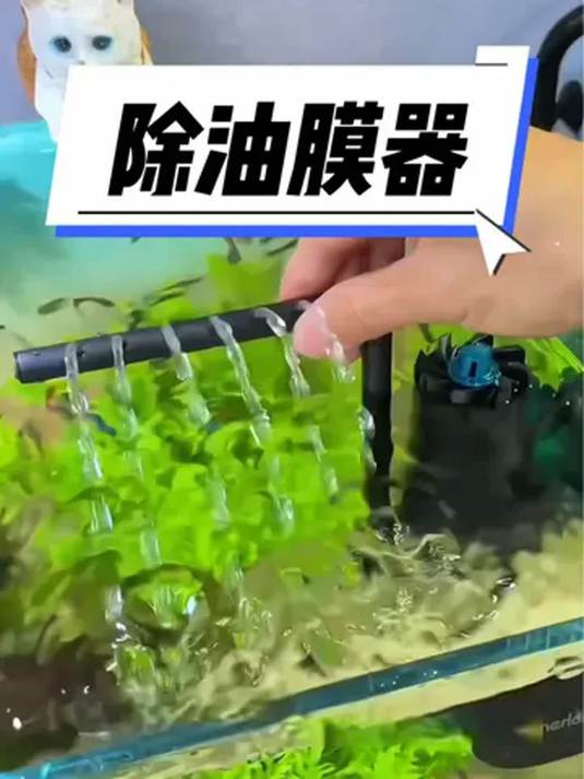 鱼缸油膜难清理?用这除油膜器,轻松解决!