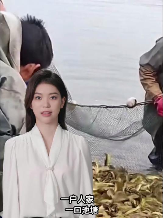 航拍长江中下游平原！从高空看才懂什么叫 “鱼米之乡”