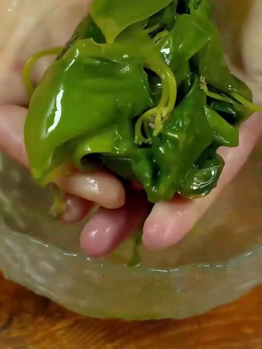 海带嫩苗脆嫩爽滑,煮汤涮锅都鲜美,好吃又解腻