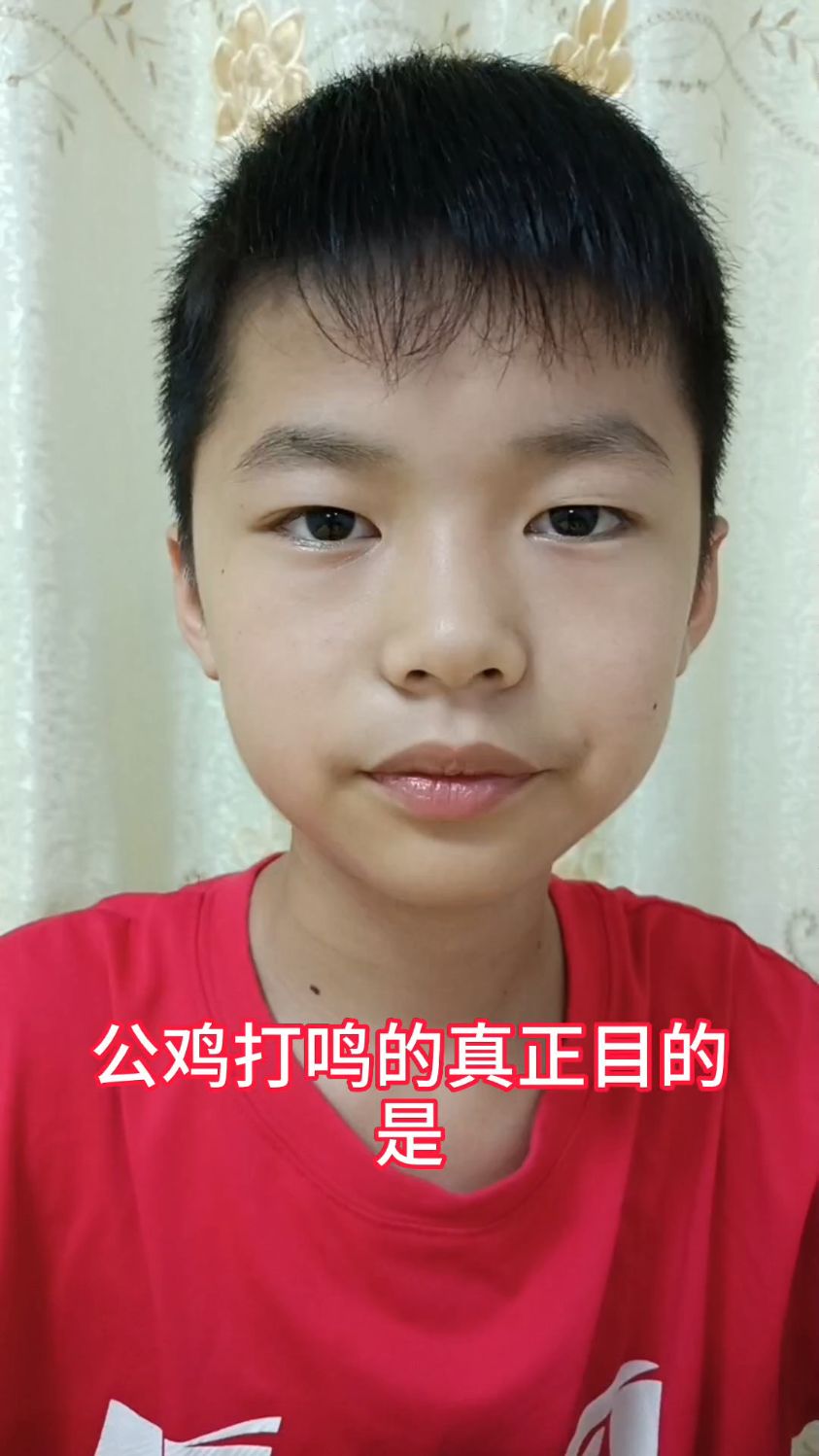 公鸡打鸣的真正目的是