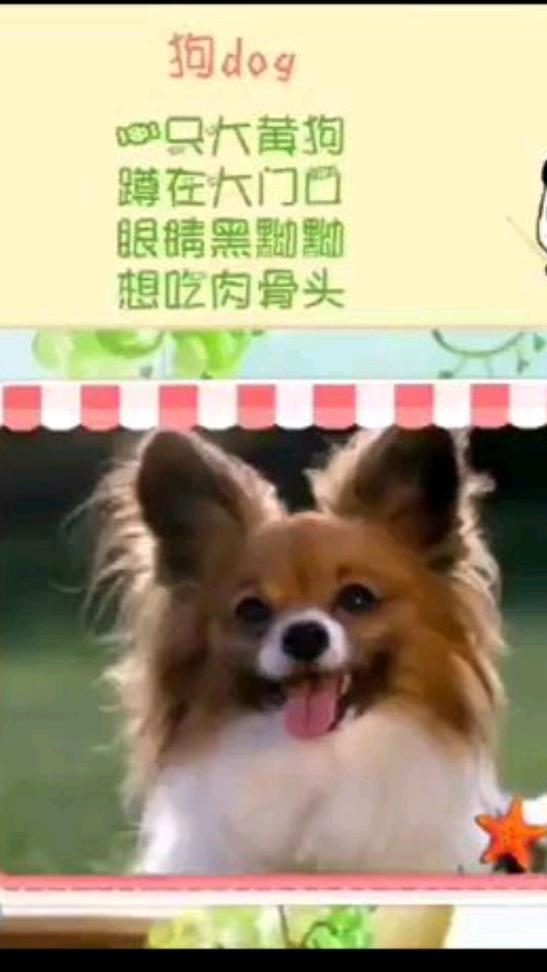 宝宝歌谣识动物(七)小狗