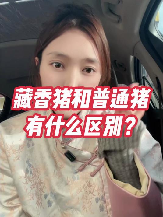 藏香猪和普通猪有什么区别?