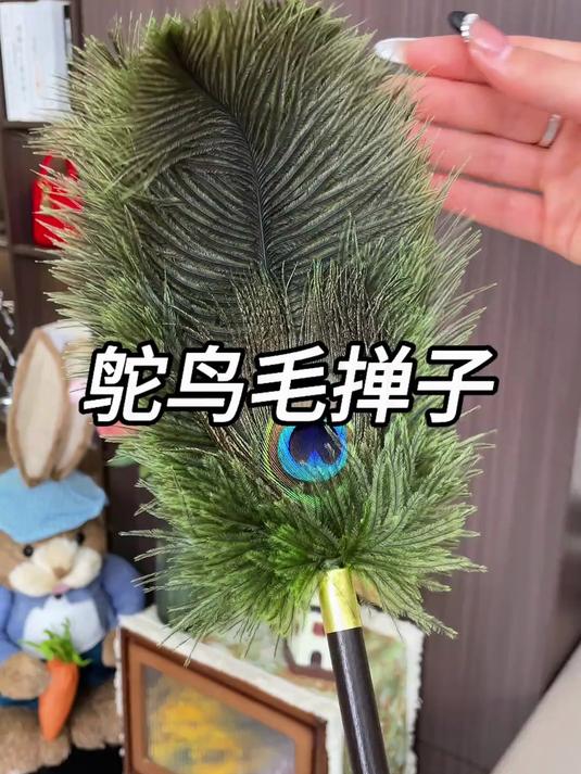 这个鸵鸟毛掸子简直像个艺术品,便宜还好用,真是淘到宝了