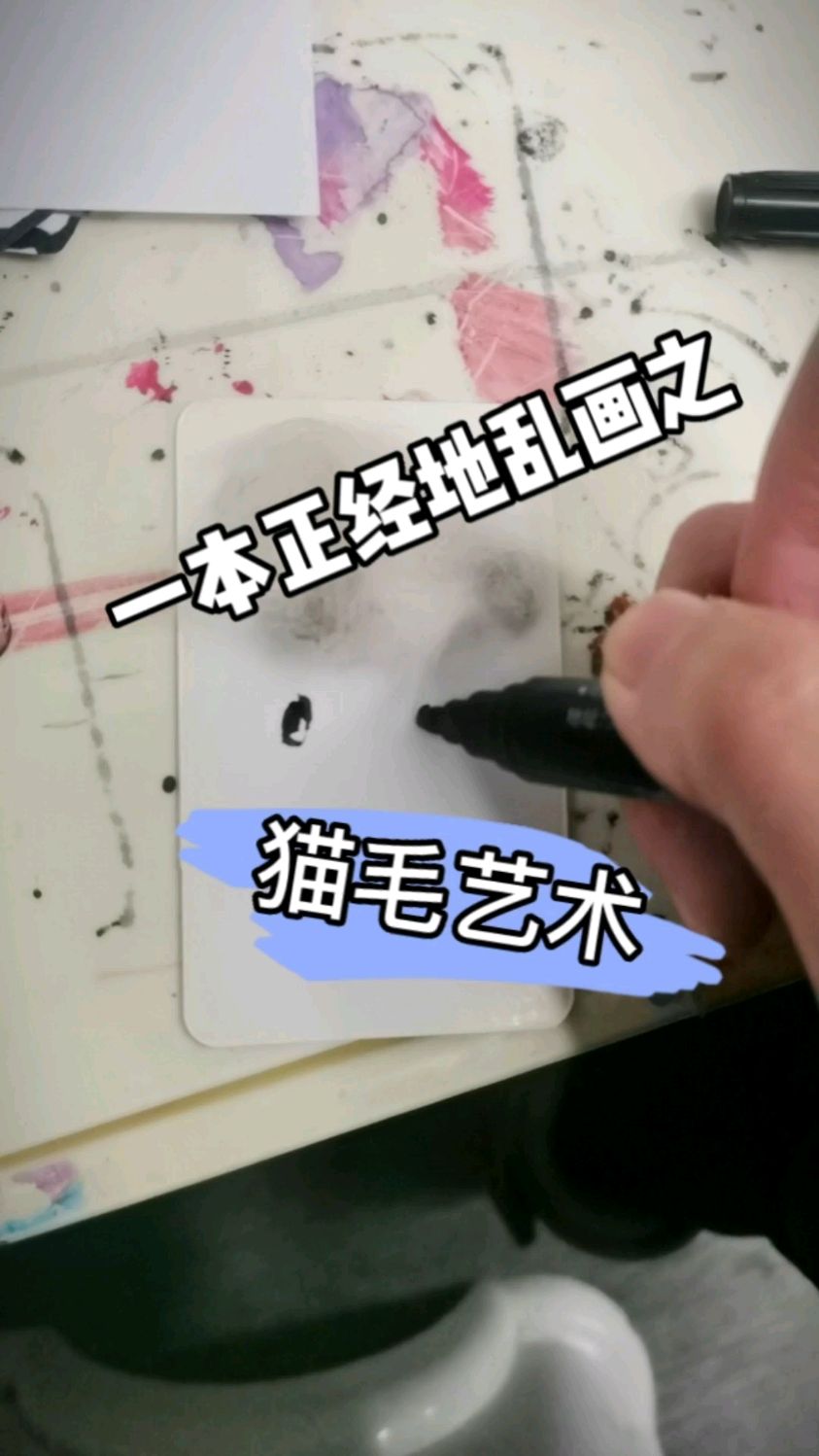 此时此刻糍粑正看着我