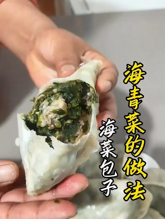 海菜包子教程来了，跟着做起来