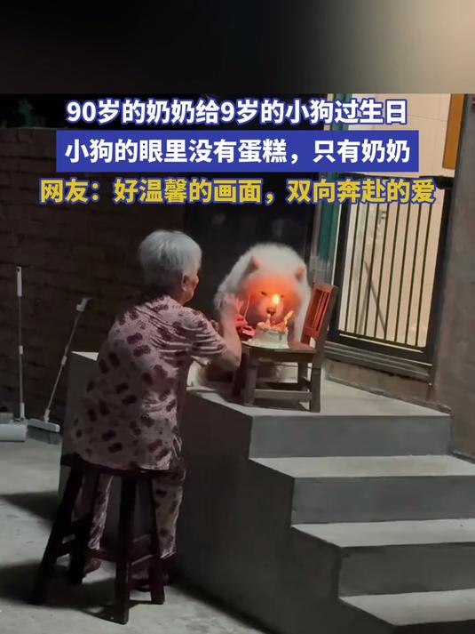 90岁的奶奶给9岁的小狗过生日，小狗的眼里没有蛋糕，只有奶奶。网友：双向奔赴的爱。#种草官