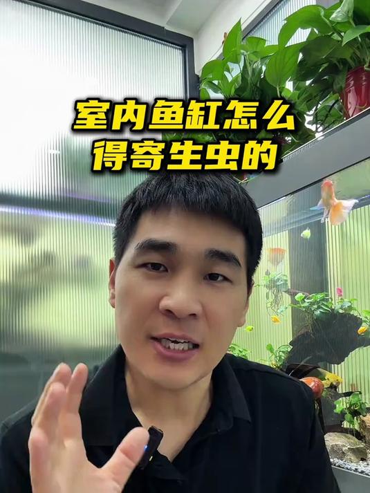 寄生虫究竟是怎么跑进室内鱼缸的