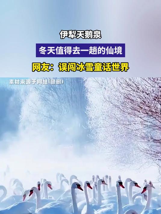 伊犁天鹅泉,冬天值得去一趟的仙境