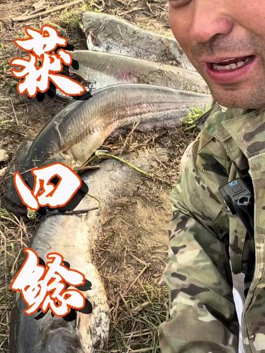 钓大鲶鱼季节来到了!俄罗斯钓鱼