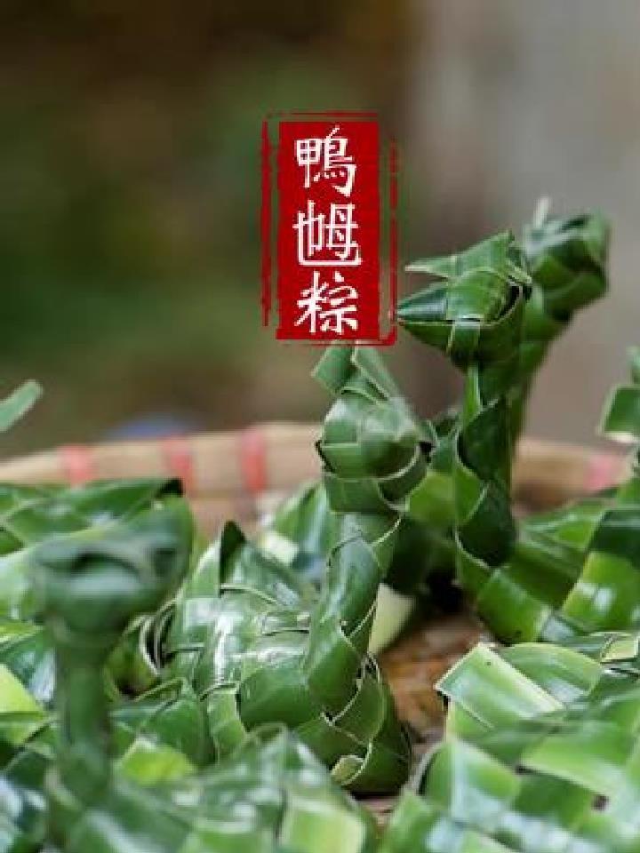 鸭乸粽湛江雷州半岛特色粽,小时候最开心就是 节妈妈做鸭