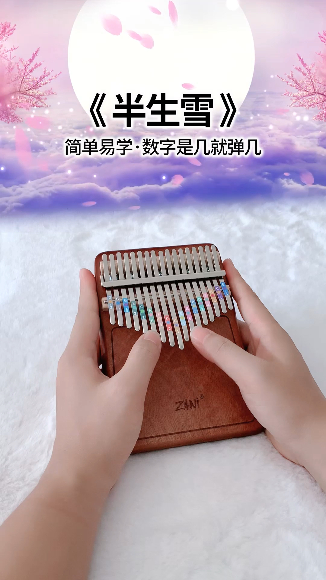 拇指琴版【半生雪】