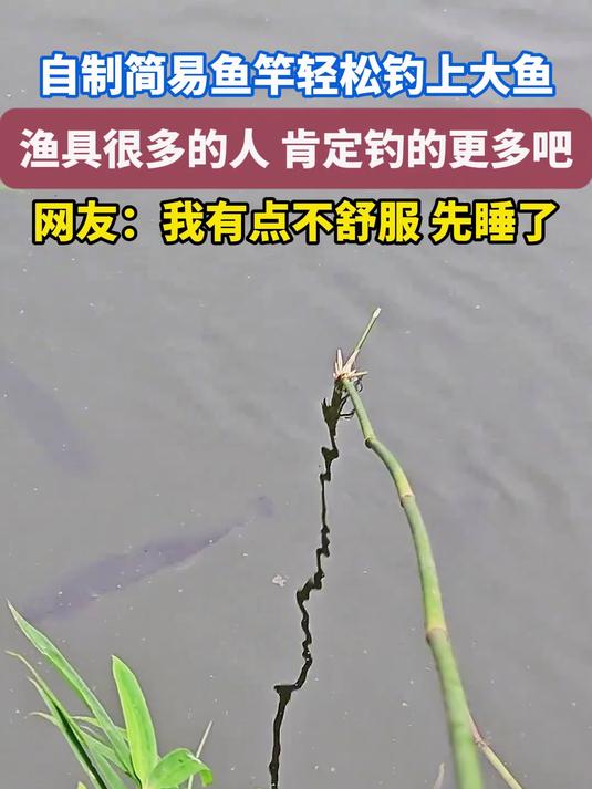 自制鱼竿钓大鱼,渔具多的人肯定钓更多吧,网友:不舒服,先睡了