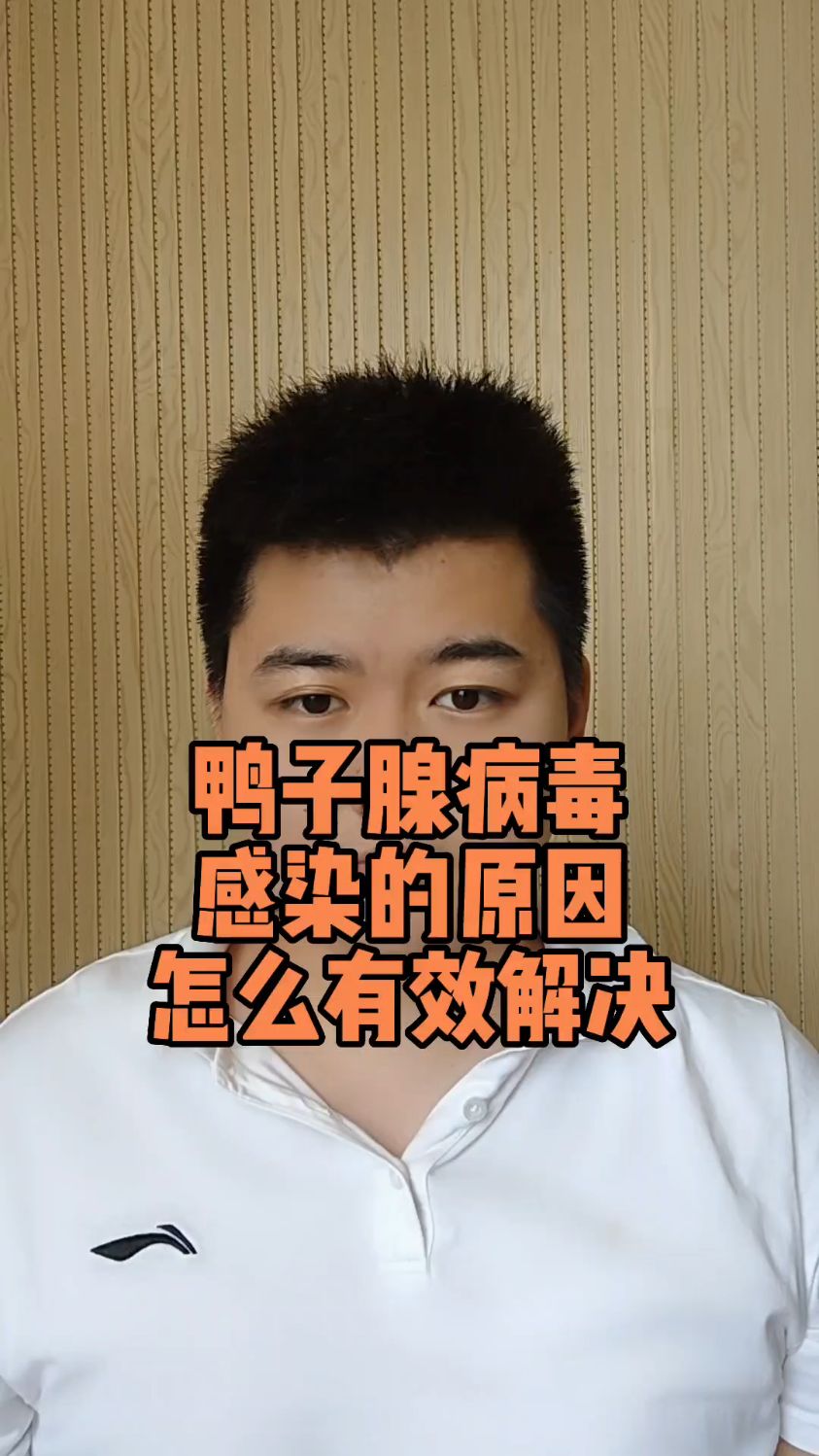 #鸭子怎么会出现腺病毒种鸭腺病毒是怎么引起的鸭子得了腺病毒怎么治鸭子得了腺病毒