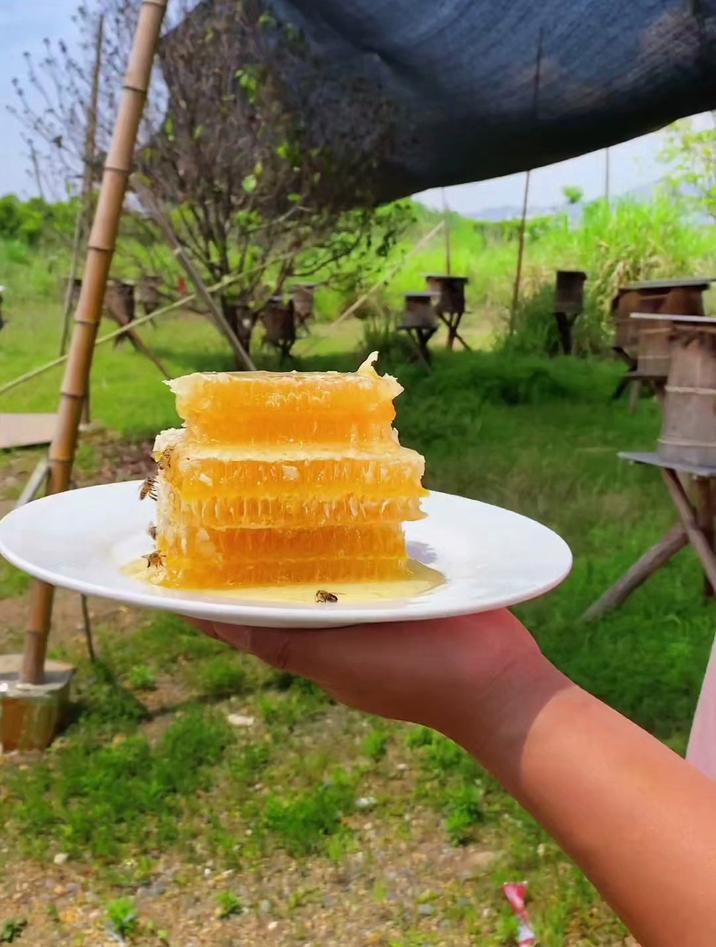 蜂蜜的营养价值和功效