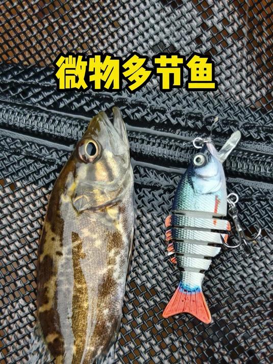 溪流路亚可玩性非常高的一款假饵