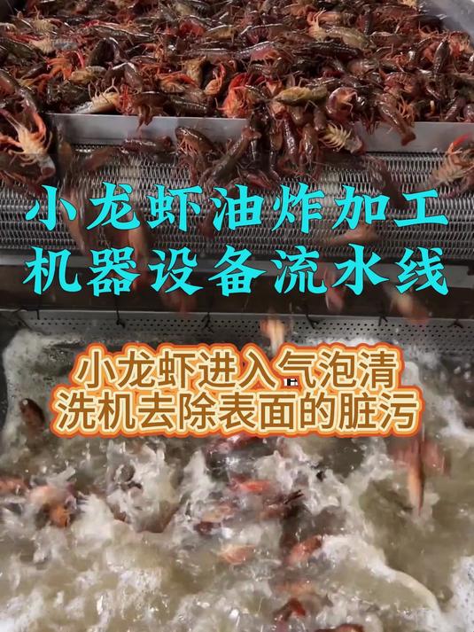 小龙虾清洗油炸加工机器设备流水线,小龙虾连续式油炸机器设备