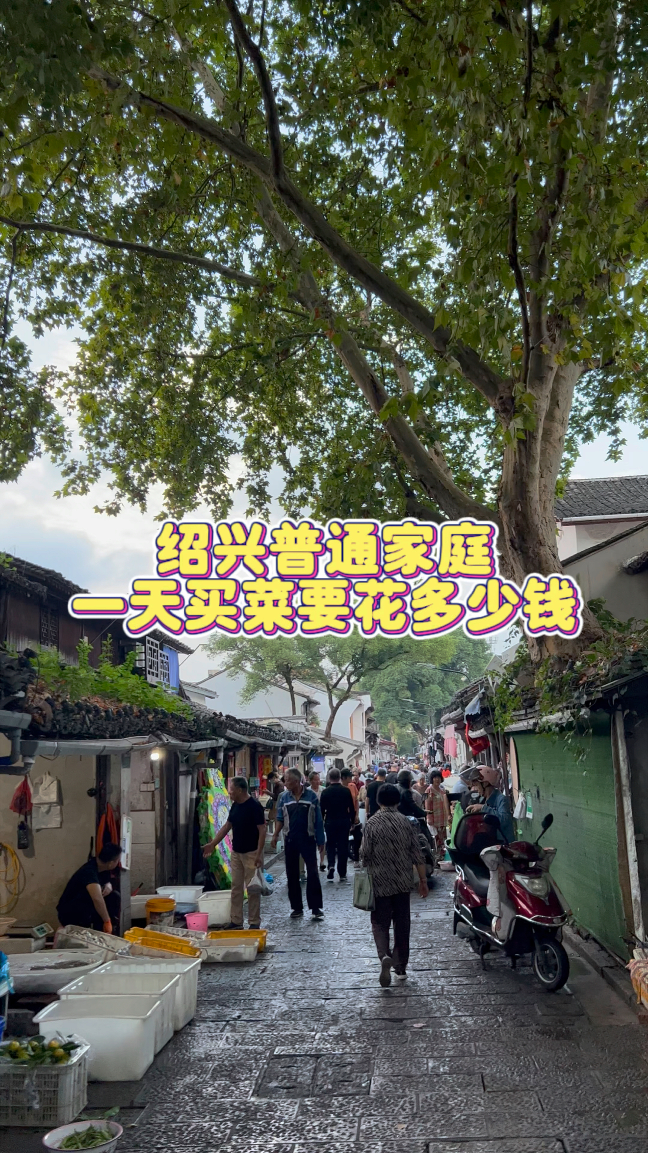 绍兴普通家庭 一天买菜要花多少钱 臭苋菜梗蒸霉毛豆 又是绍兴的味道