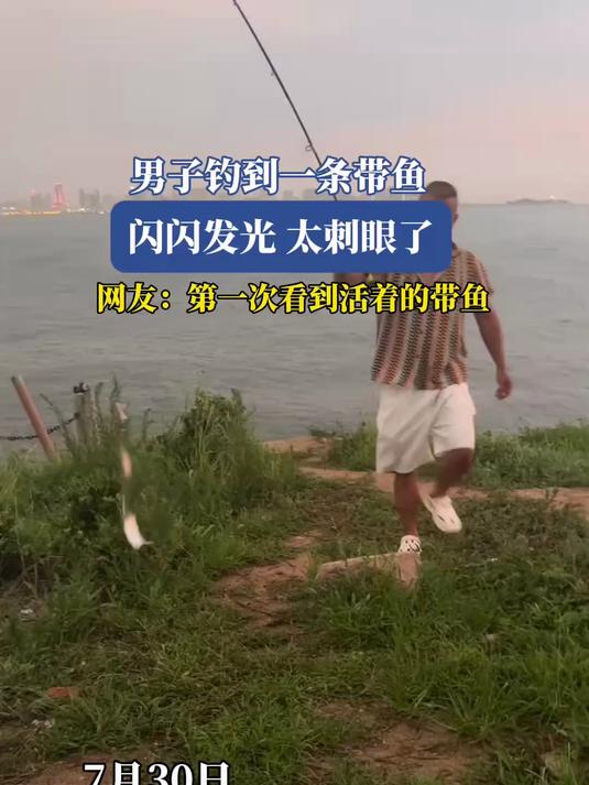 男子钓到一条带鱼，闪闪发光太刺眼了