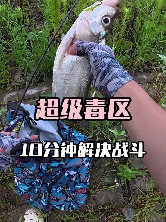 吃鱼不用挑毒区甩俩杆就行 路亚 路亚翘嘴