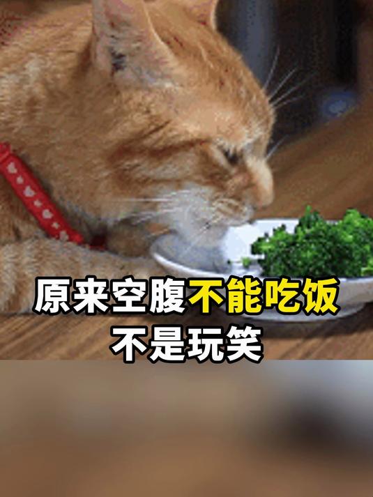 原来空腹不能吃饭不是玩笑!正确顺序:先菜后肉再饭
